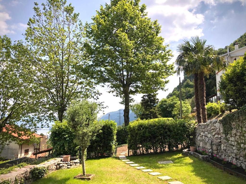 La Dimora Degli Olivi Dependance Villa Galbiate Dış mekan fotoğraf